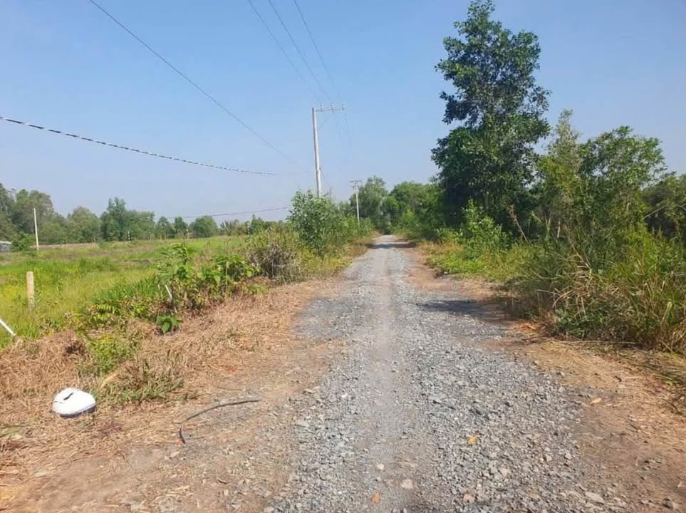 Đất nền Tân Phước 225m² giá 260 triệu - Bán gấp cho người cần vốn!