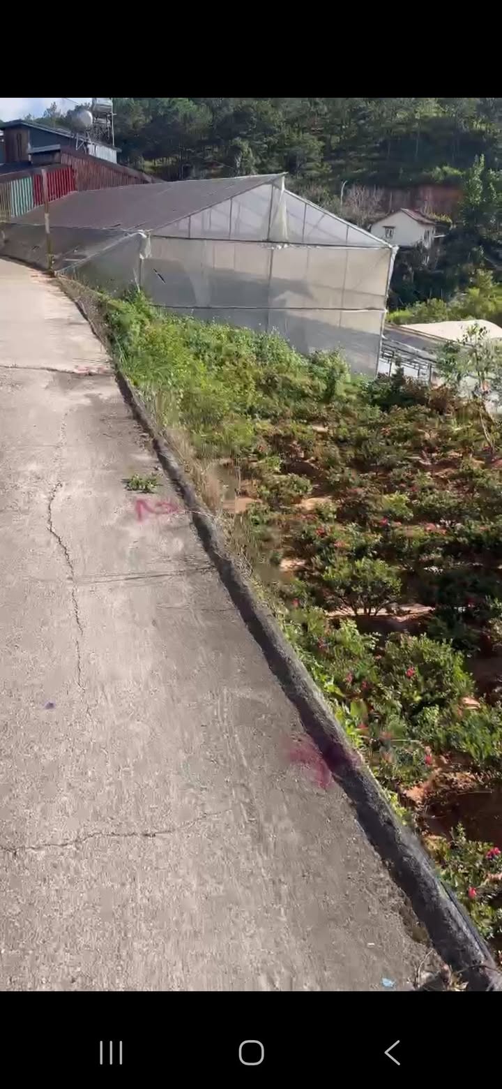 Đất nền Hùng Vương, phường 10, Đà Lạt 80m² giá 1.3 tỷ - Hẻm ô tô lớn, khu dân cư sầm uất!