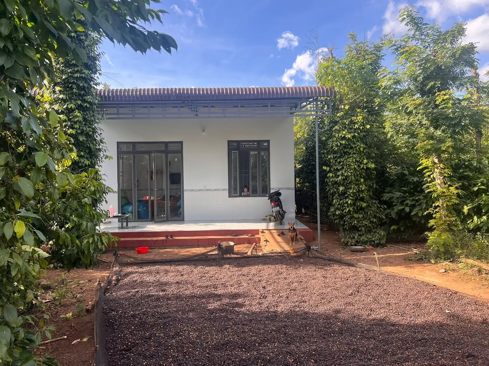 Đất đầu tư sinh lời tại Quảng Hiệp 1,1 Ha giá 880 triệu - Cơ hội không thể bỏ lỡ!