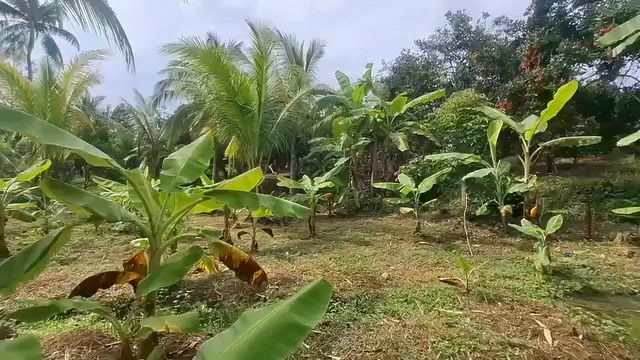 Đất nền Bảo Vinh Long Khánh 3600m² giá 1.5 tỷ - Sổ đỏ chính chủ