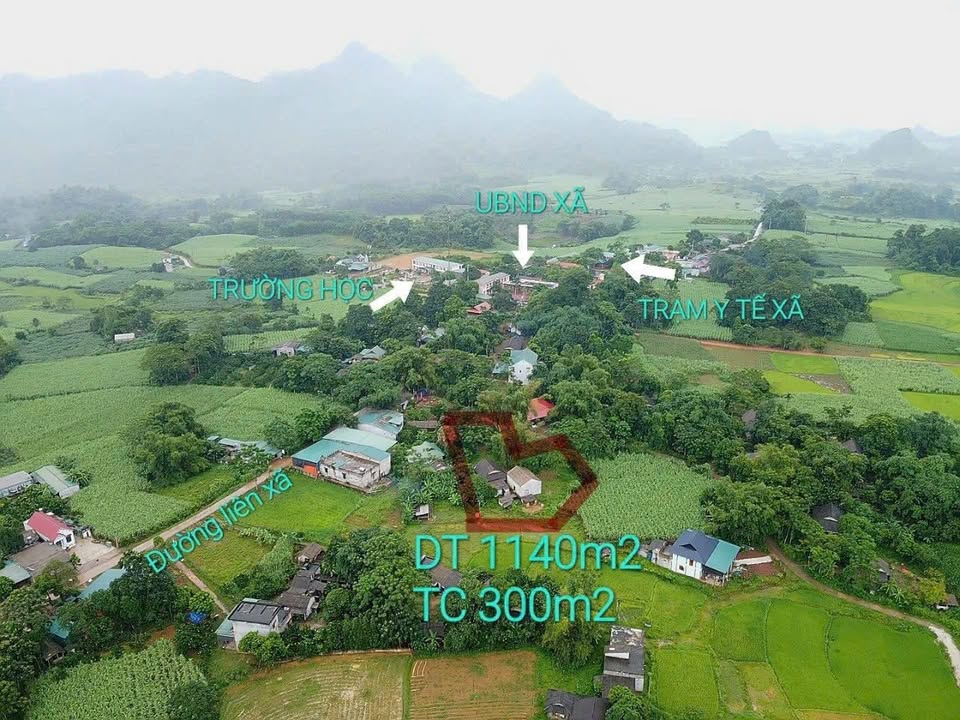 Đất thổ cư Phú Vinh 1.140m² giá 700 triệu - Cơ hội đầu tư hiếm có!