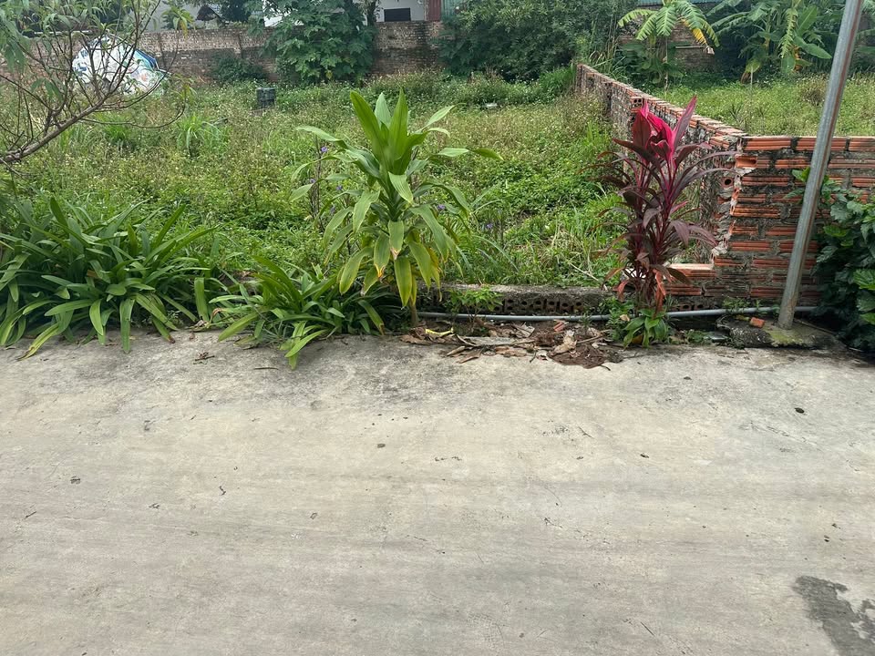 Đất nền Kim Anh, Sóc Sơn 90m² giá thỏa thuận - Vị trí đắc địa gần trung tâm!