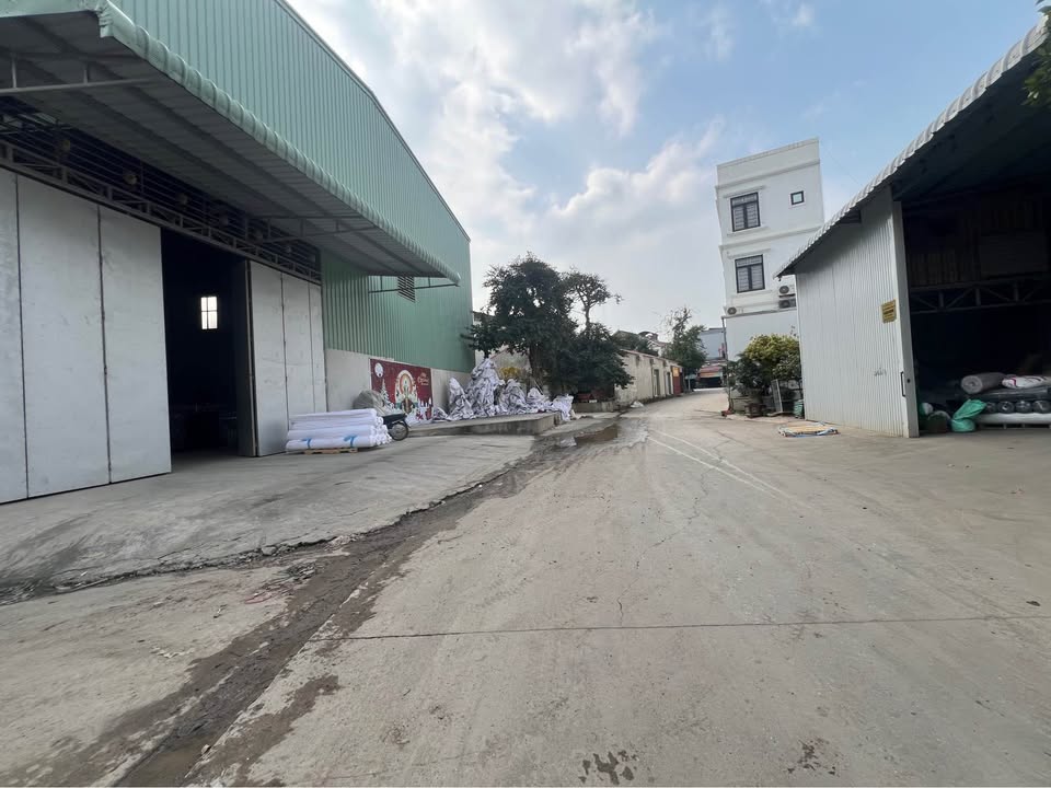 Biệt thự độc đáo tại Minh Châu, Yên Mỹ 100m² - Giá rẻ hơn hàng xóm!