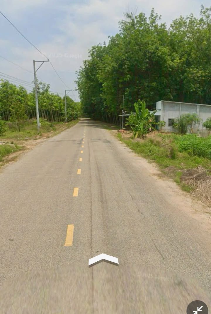 Đất nền đường ĐH519, xã Phước Sang, huyện Phú Giáo, 390m² giá 900 triệu - Đầu tư sinh lời tốt!