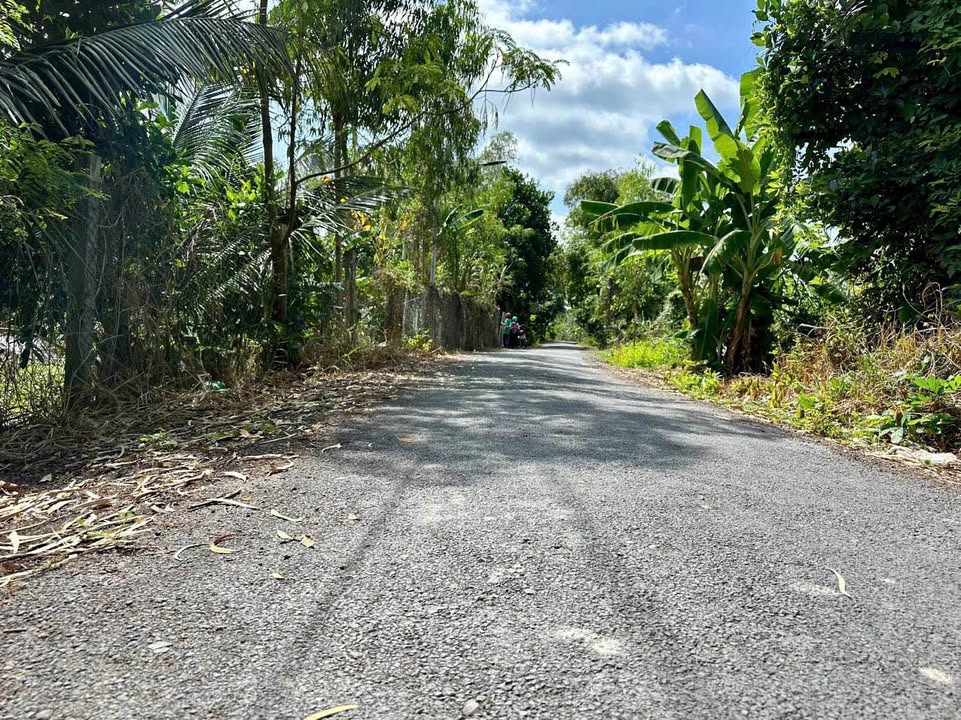 Đất nền 841m² đường Nguyễn Văn Dình, phường Mỹ Trà - Cơ hội đầu tư sinh lợi!