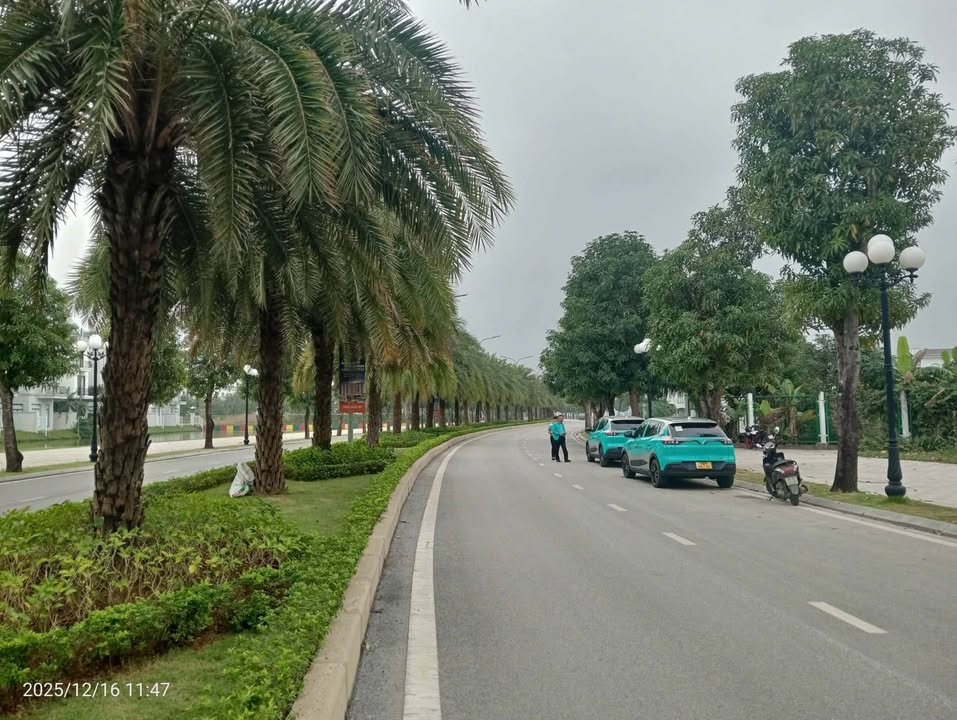 Đất nền Phường Đông Hương 205m² giá 3.55 tỷ - Cơ hội đầu tư tuyệt vời!