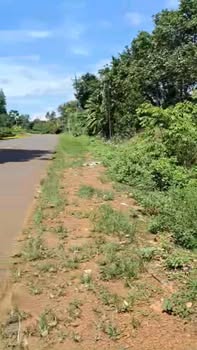 Đất nền 1.4 sào mặt tiền ĐT 755, xã Phước Sơn, Bù Đăng - Giá chỉ 1.7 tỷ VND!