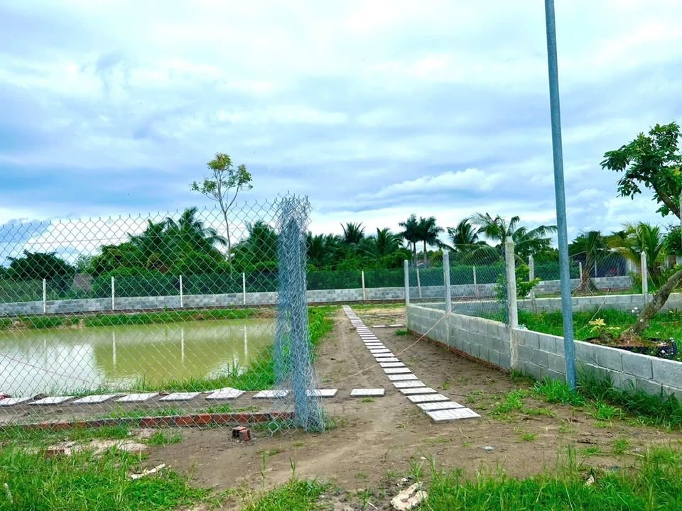 Đất nền Gò Dầu, Tây Ninh 1000m² giá 900 triệu - Sổ hồng riêng, cơ hội đầu tư tốt!