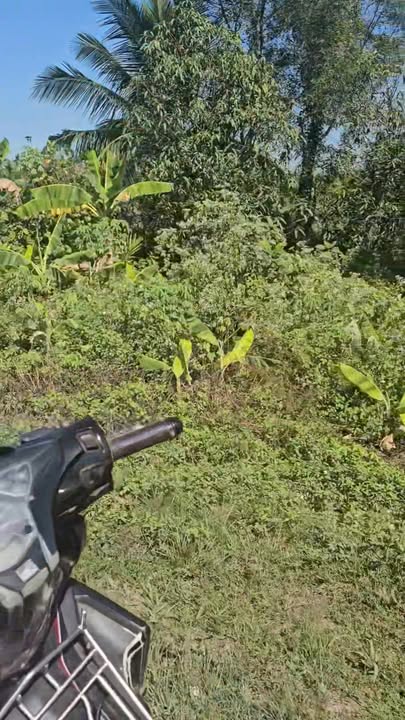 Đất mặt tiền Tuyến Tránh QL1A, Bình Phú, 1750m² - Giá chỉ 7.7 tỷ VND, đầu tư lý tưởng!