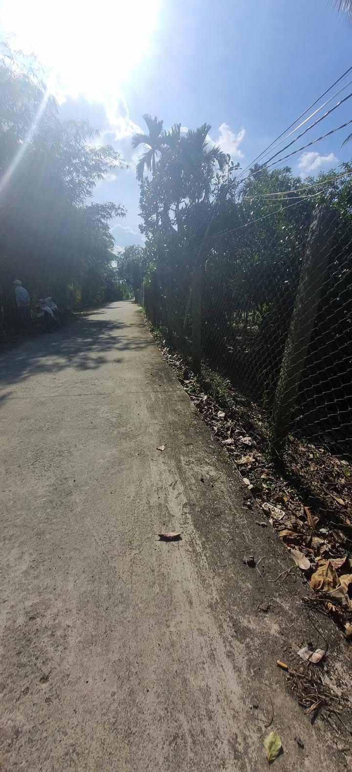 Đất nền 800m² xã Bình Phú, Cai Lậy, Tiền Giang - Giá 1 tỷ, thuận tiện giao thông!