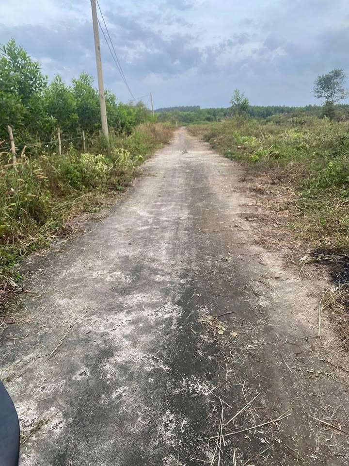 Đất nền Xuân Thành, Đồng Nai 1444m² giá chỉ 300 triệu - Đầu tư sinh lời ngay!