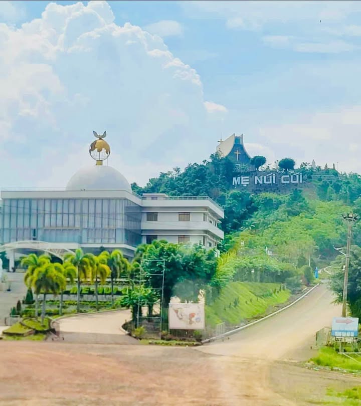 Đất nền 1 sào mặt nhựa đường Cô Tin - Giá 250 triệu - Đầu tư sinh lời ngay!