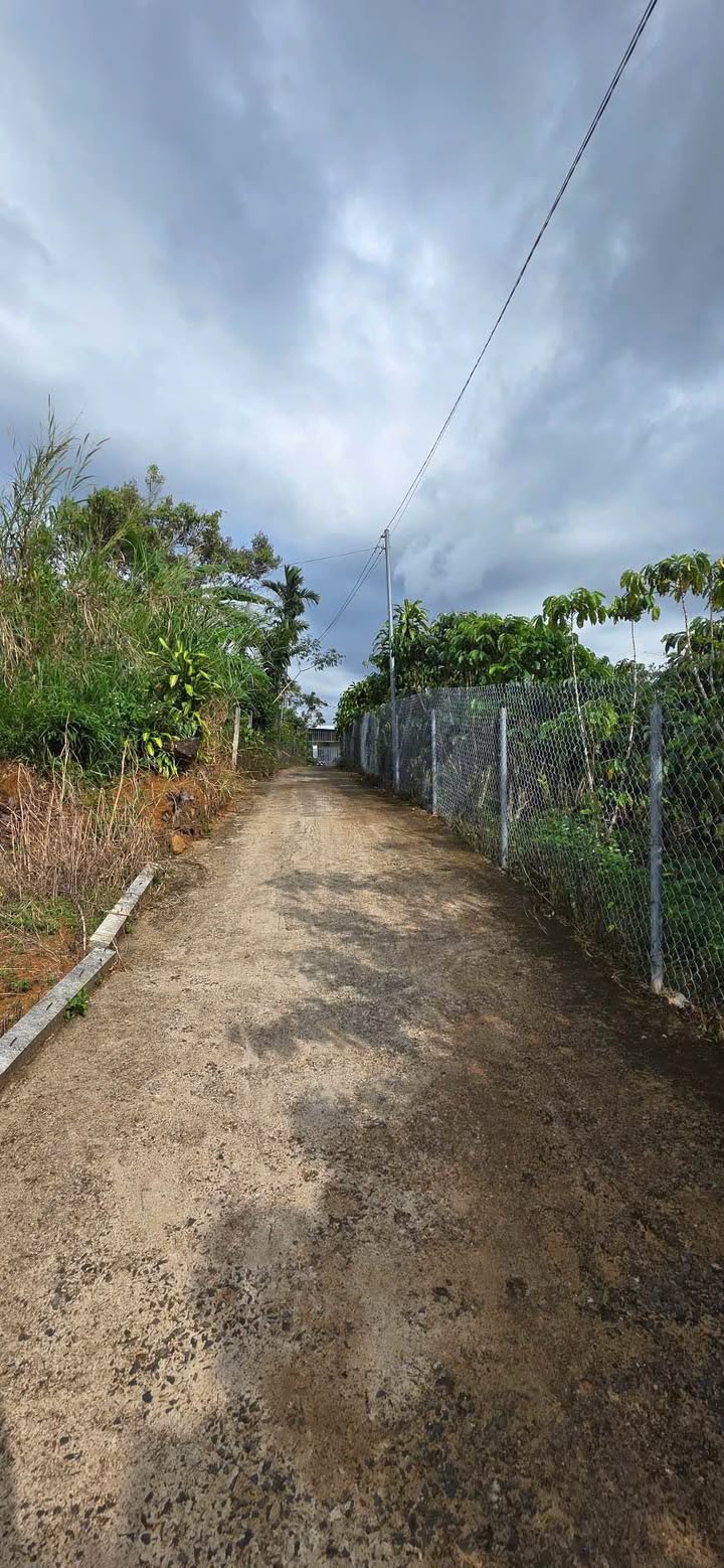 Đất nền Gò Vấp 4700m² giá 8 tỷ - Cơ hội đầu tư hấp dẫn!