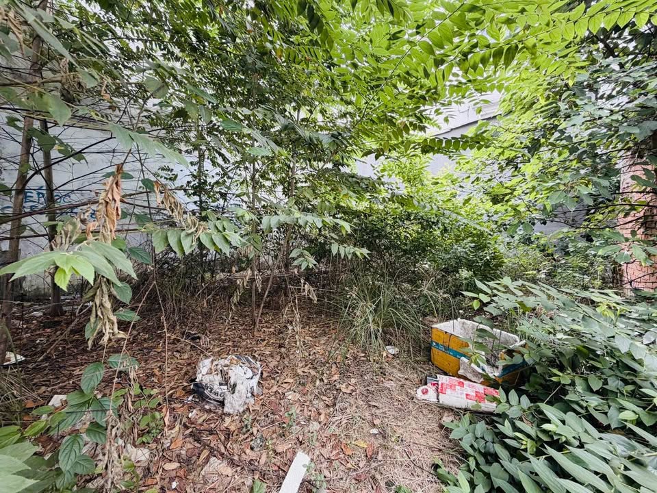 Đất trống khu D2, Bình Thạnh 104m² giá 12.999 tỷ - Ô tô vào tận nhà!