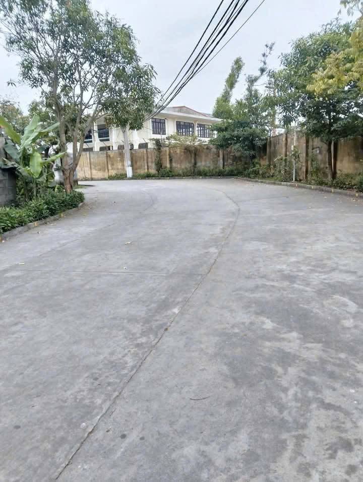 Nhà cấp 4 Mạo Khê 58m² - Chính chủ, sẵn sàng vào ở!