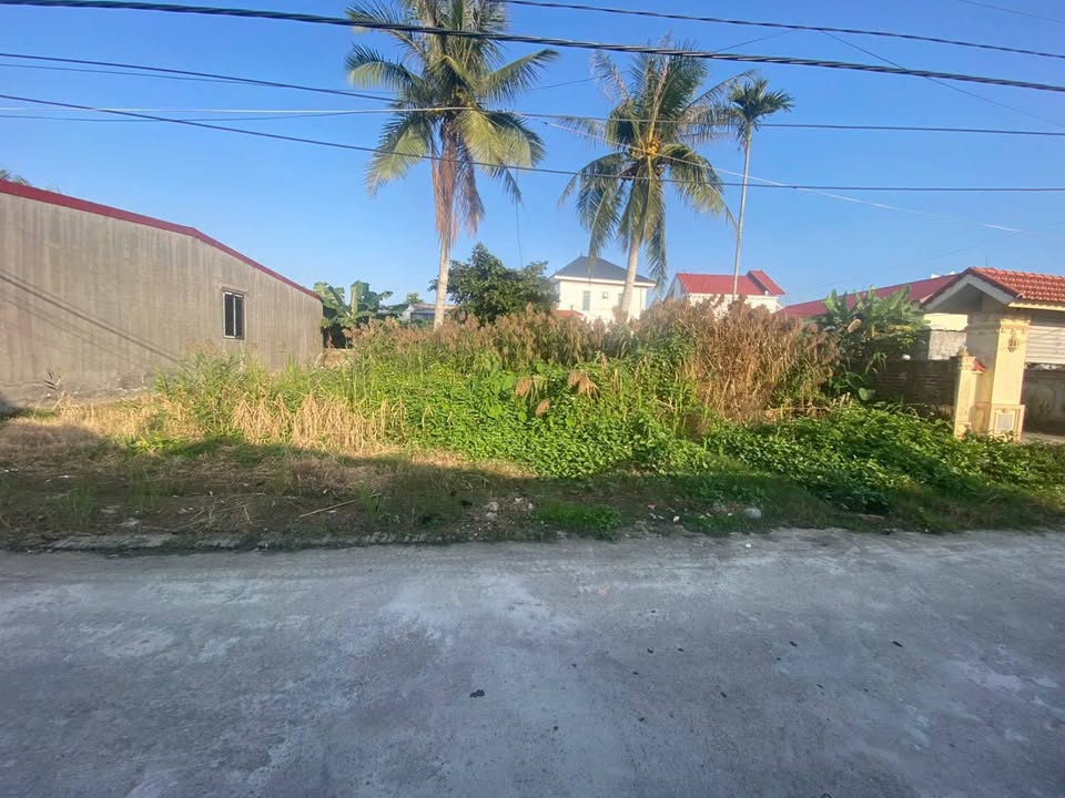 Đất nền An Thắng An Lão 68m² giá 500 triệu - Sổ đỏ chính chủ nhanh gọn!