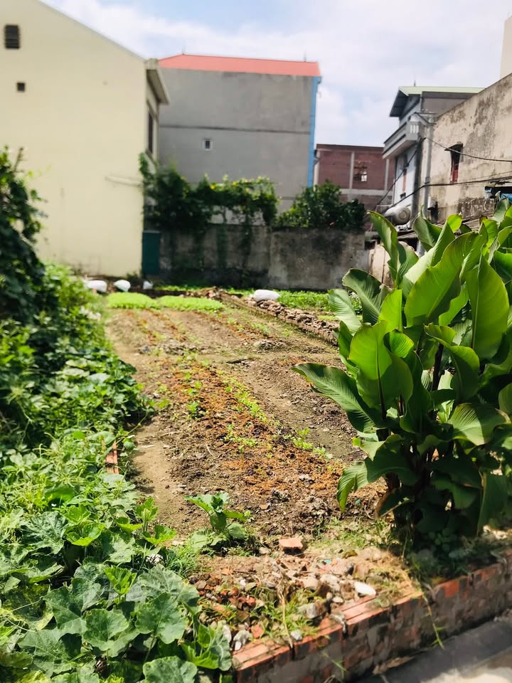 Nhà bán tại Việt Hùng, Đông Anh 68m² - View hồ đẹp, ô tô tránh thoải mái!