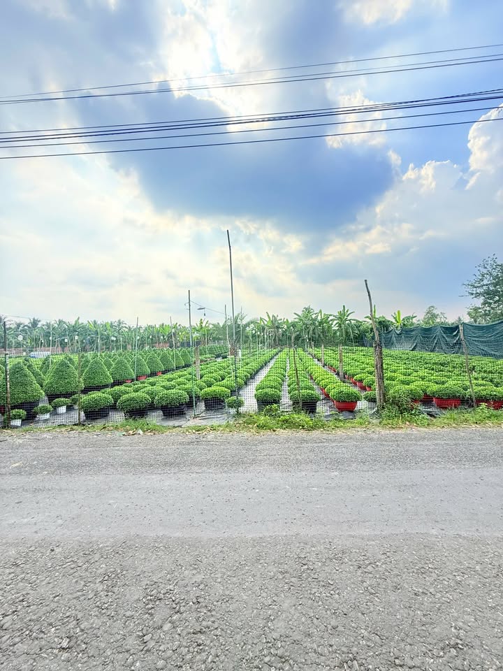 Đất mặt tiền nhựa 90C, phường Mỹ Phong, TP. Mỹ Tho - Diện tích 160m², giá chỉ 1.3 tỷ!