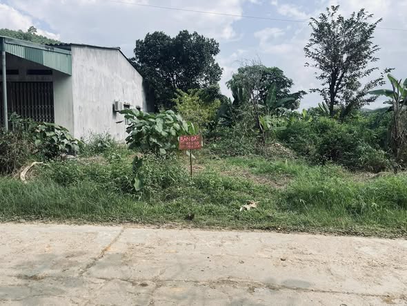 Đất thổ cư Hùng Thắng, Bắc Quang 300m² - Cắt lỗ nhanh chóng!