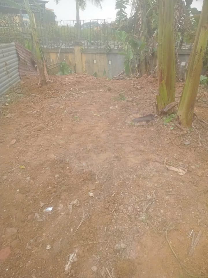 Đất nền ngõ 7 Phạm Văn Đồng, 130m² giá 950 triệu - Cơ hội đầu tư tuyệt vời!