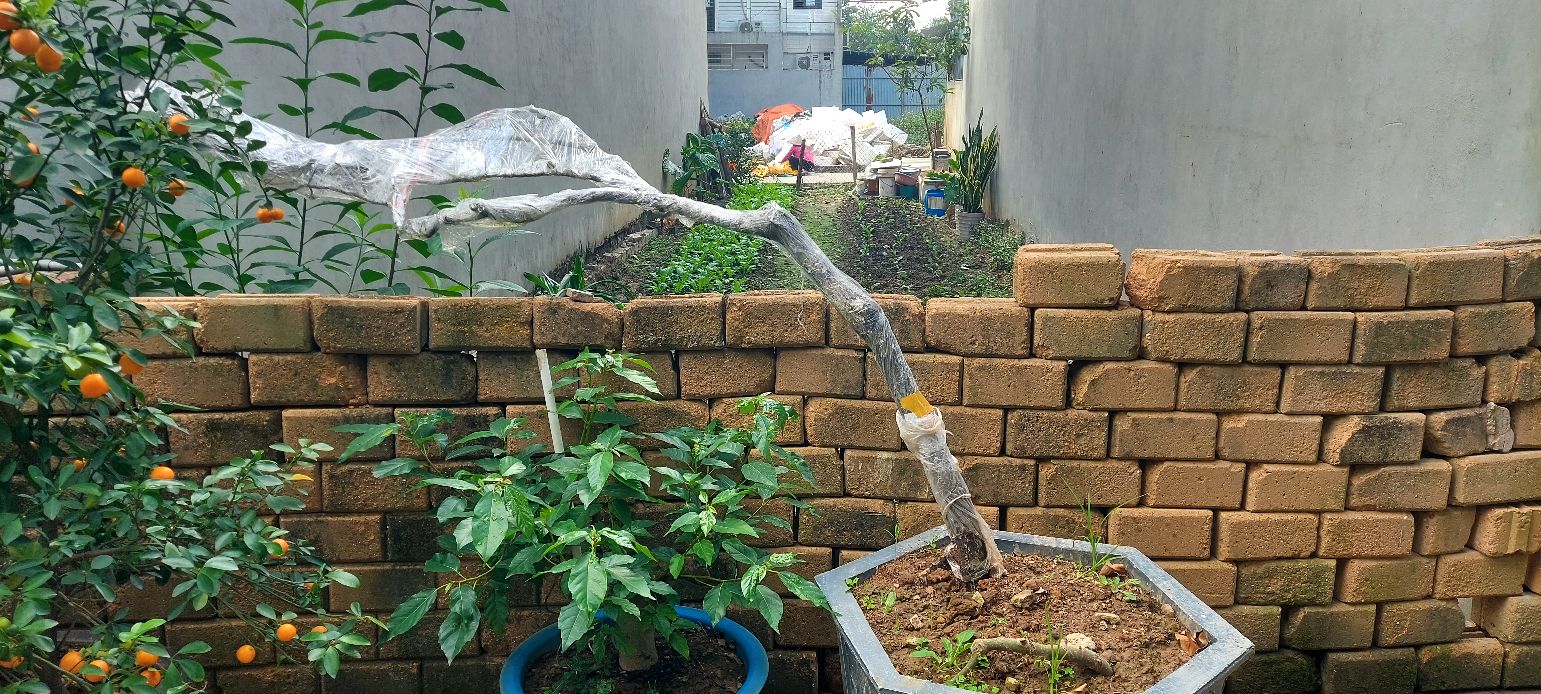 Đất nền Vân Nội Đông Anh 80m² giá 4 tỷ - Đầu tư sinh lời ngay!