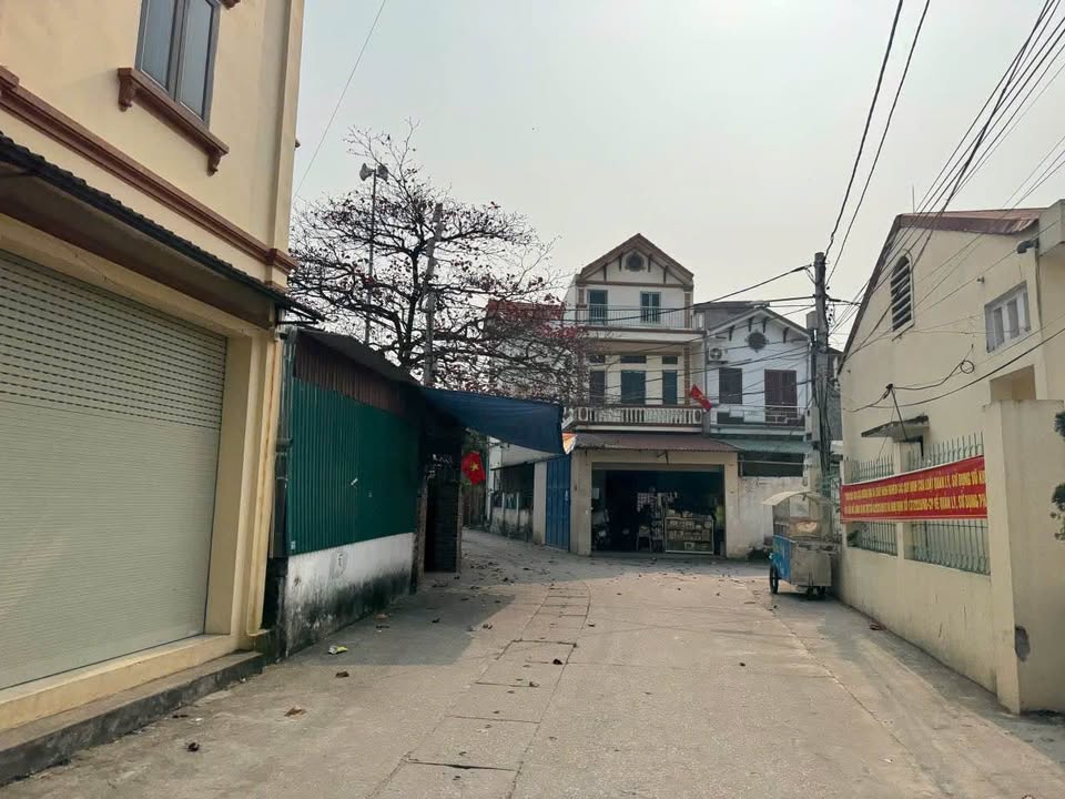 Đất Kiêu Kỵ, Gia Lâm 48m² giá 4 tỷ - Đầu tư lý tưởng