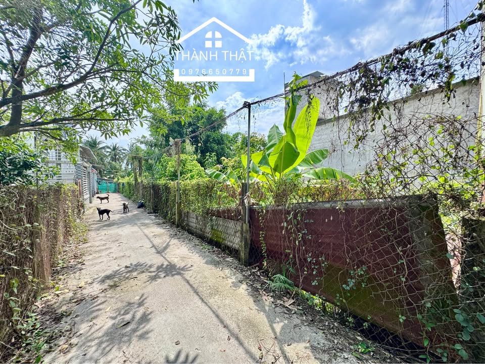 Đất nền thổ cư đường ô tô Lê Việt Thắng, Mỹ Tho 85m² - Đầu tư sinh lời ngay!