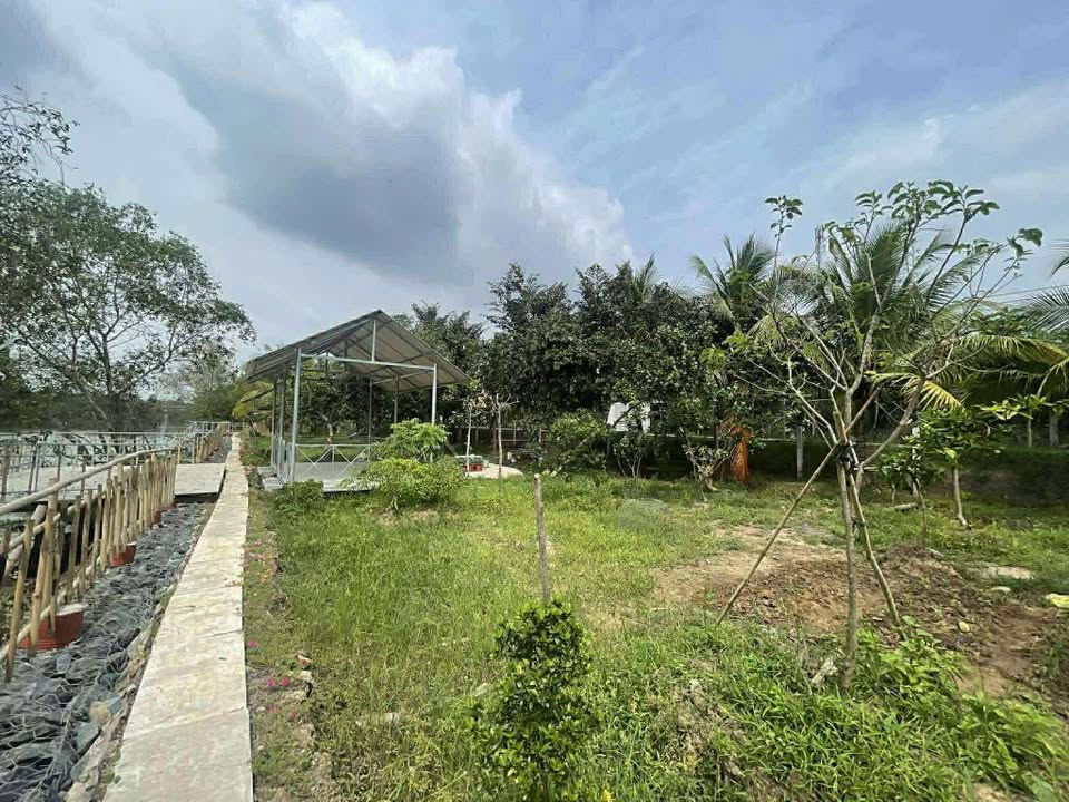 Nhà vườn 2 mặt tiền tại Long Hưng, 1213m² giá 2.2 tỷ - Không thể bỏ lỡ!