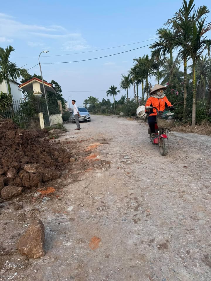 Đất liền kề Nghĩa Trung 240m² giá 2.3 tỷ - Đường ô tô tránh nhau, cơ hội đầu tư hấp dẫn!