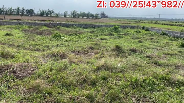 Đất nền Giao Hải 500m² giá cực hấp dẫn - Đầu tư sinh lời nhanh!