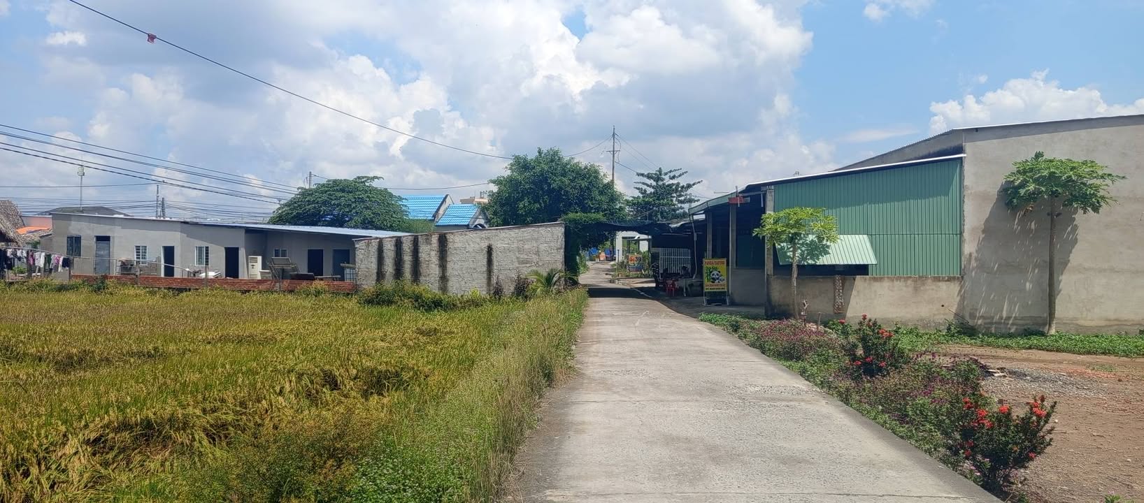 Đất mặt tiền đường Đan, xã Tân Lập 1, huyện Tân Phước, 522m² - Sổ đỏ chính chủ, giá thương lượng!