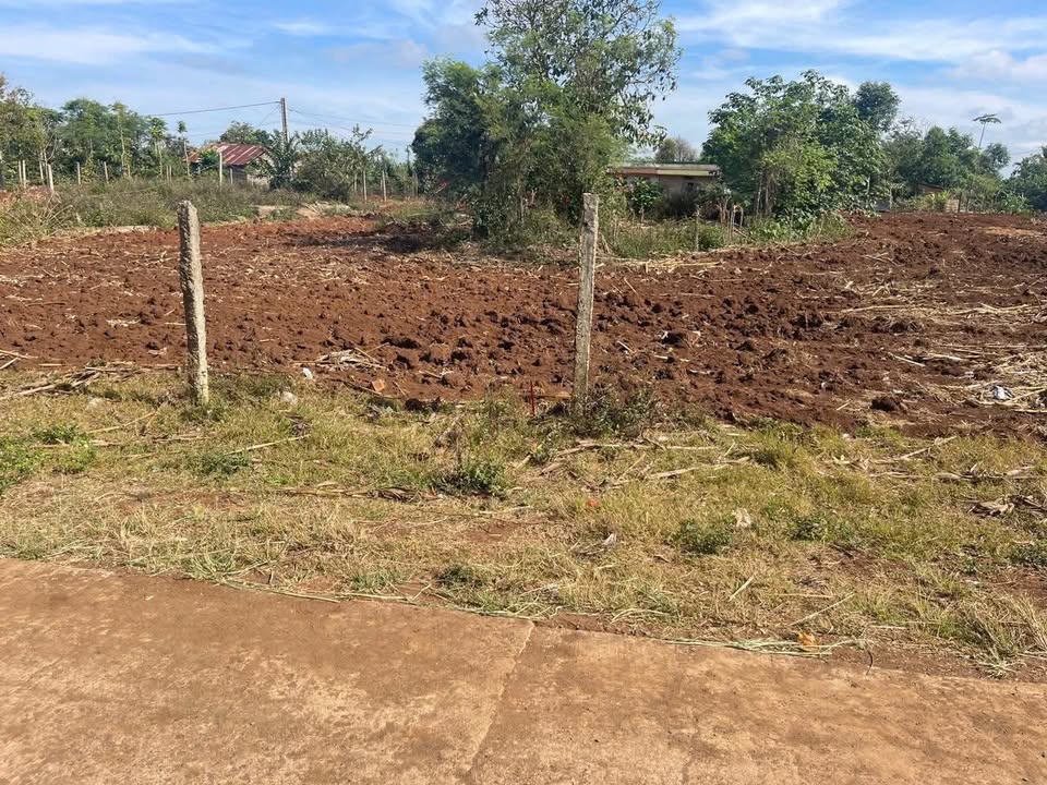 Đất nền liền kề xã Ea Drông 150m² giá 350 triệu - Cơ hội đầu tư hấp dẫn!