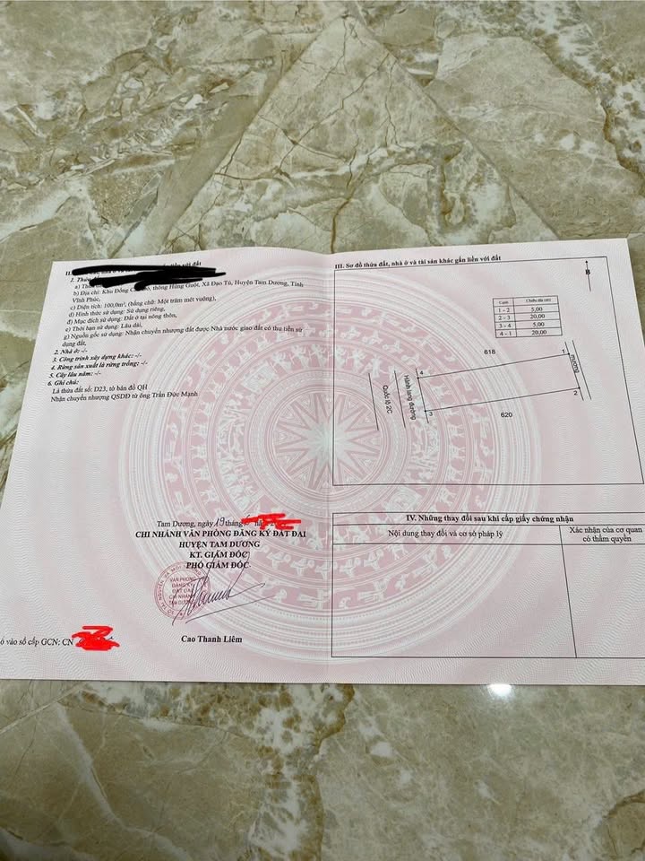 Đất nền Đạo Tú, Tam Dương 207m² giá 40 triệu/m² - Mặt tiền Quốc Lộ 2C đẹp nhất!