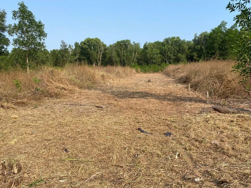 Đất vườn Nhơn Trạch 500m² giá 2.5 tỷ - Đường xe hơi thông thoáng