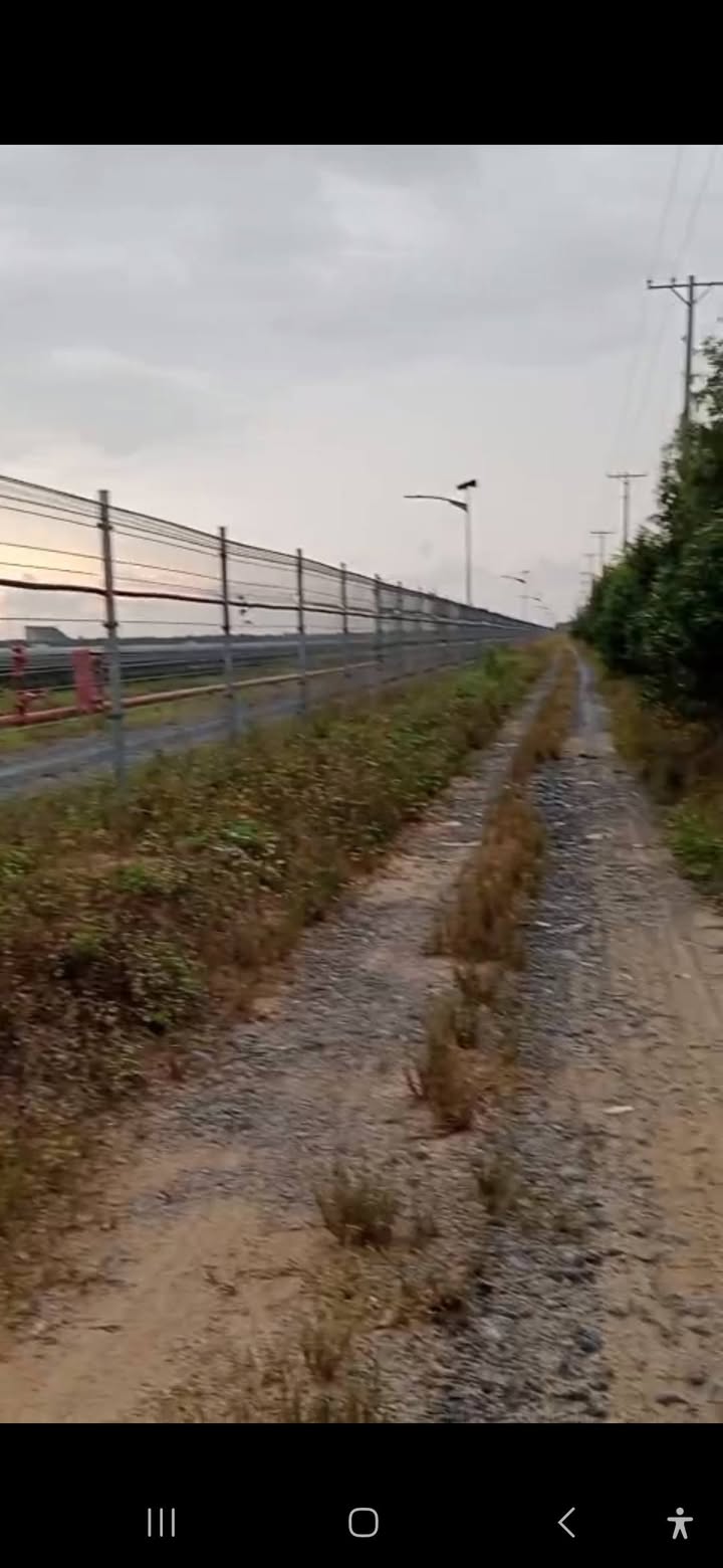 Đất nông nghiệp 1,6ha tại Thạnh An, Thạnh Hóa - Chỉ 2,2 tỷ!