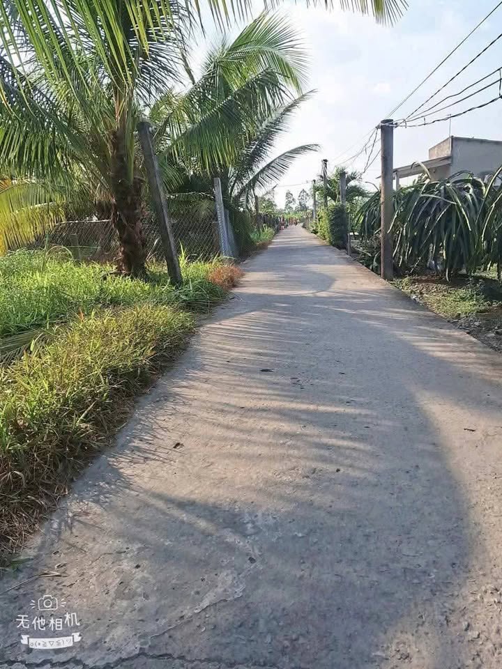 Đất thổ cư xã Phú Ngãi Trị, Châu Thành 118m² giá 430 triệu - Vị trí đẹp, sạch sẽ!