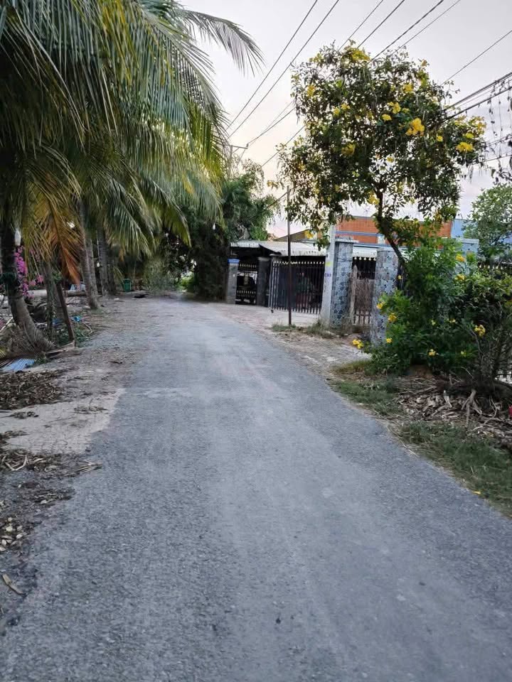 Nhà cấp 4 mặt tiền nhựa xã Lương Hòa, Bến Lức 408.5m² giá 2.499 tỷ - Dọn vào ở ngay!