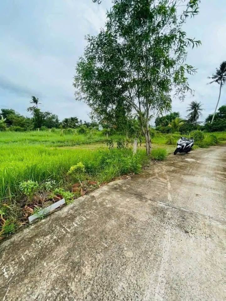 Đất nền Lợi Bình Nhơn, Tân An, 140m² giá 860 triệu - Đầu tư sinh lời ngay!