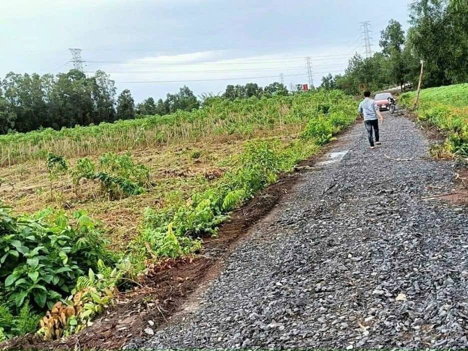 Đất vườn Thạnh Hòa Bến Lức 1100m² giá 790 triệu - Đầu tư sinh lời nhanh chóng!