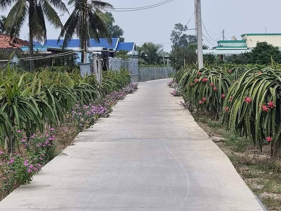 Đất thổ cư Dương Xuân Hội, Châu Thành, Long An 320m² giá 850 triệu - Đầu tư sinh lời ngay!