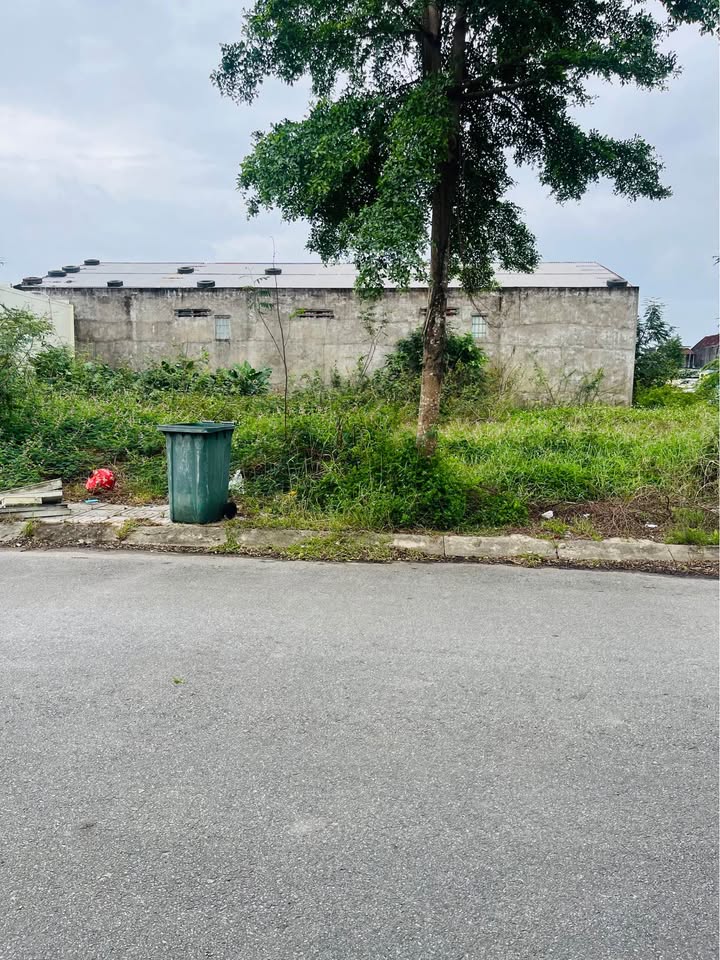 Đất liền kề Khu An Phú Mộ Đức 280m² giá 2.39 tỷ - Đầu tư sinh lời ngay!