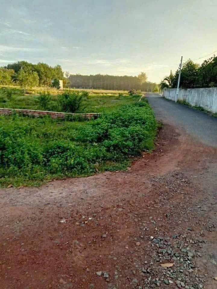 Đất nền 300m² tại khu phố 2, Tân Khai, Chơn Thành chỉ 400 triệu - Cơ hội vàng cho nhà đầu tư!