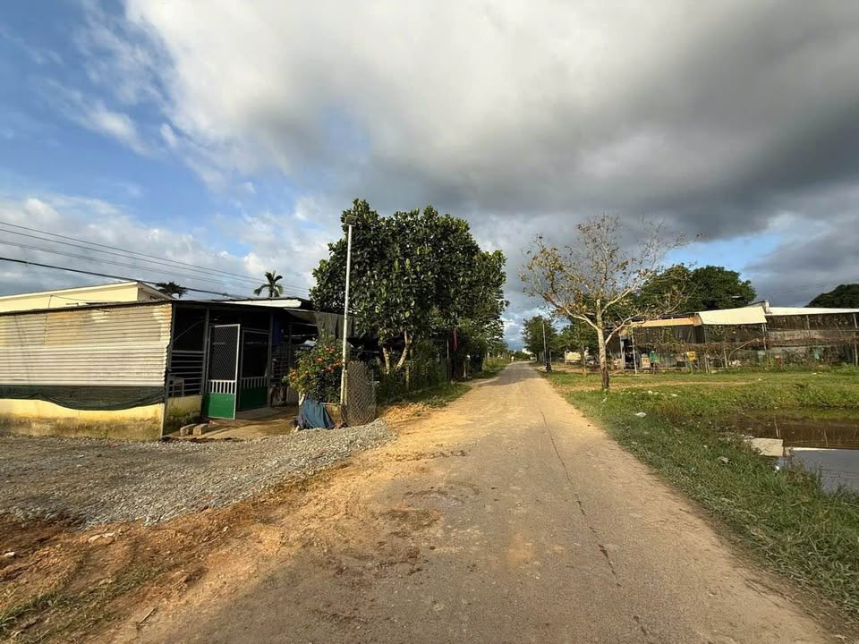 Lô vườn Khánh Phú - Khánh Vĩnh 1,5ha giá 2,2 tỷ - Đất bằng phẳng, vị trí đẹp!