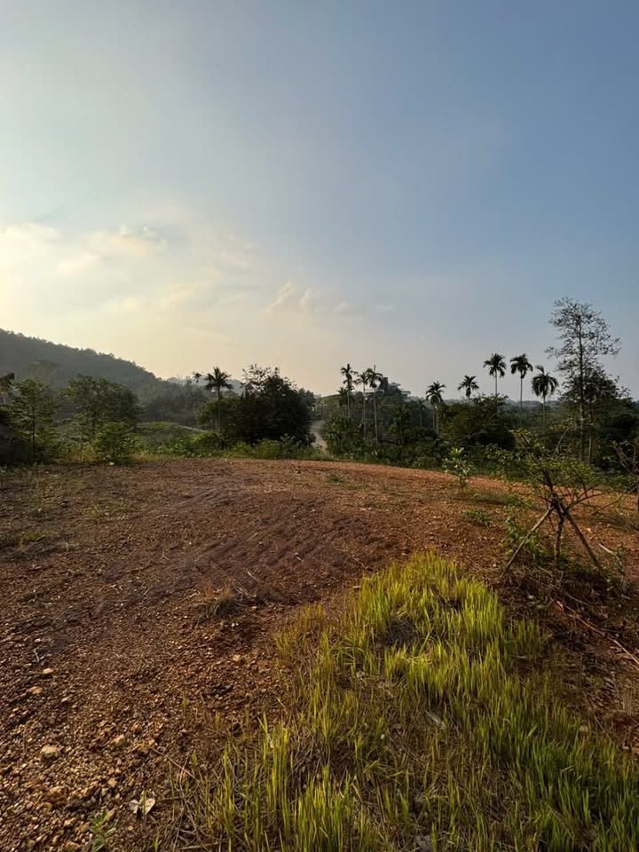 Đất lô góc thôn Dy, Minh Quang 762m² - View núi đẹp, giao thông thuận lợi!