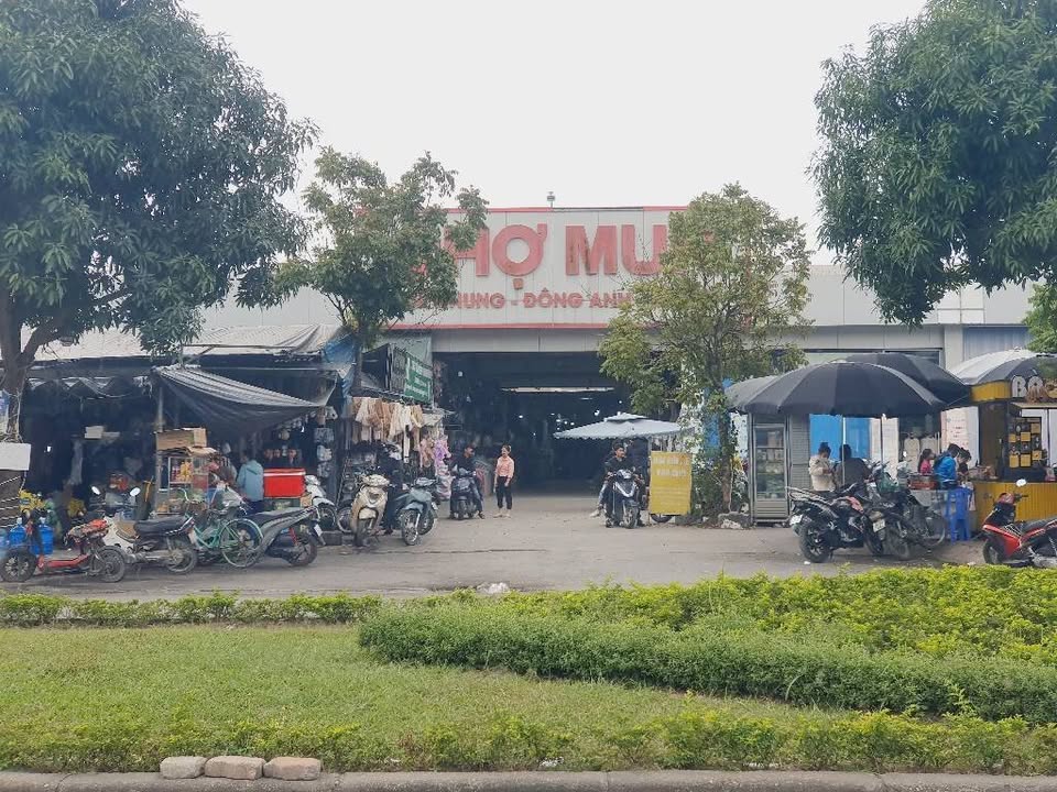 Đất Kim Chung Đông Anh 47m² - Kinh doanh sầm uất, kết nối trung tâm Hà Nội!