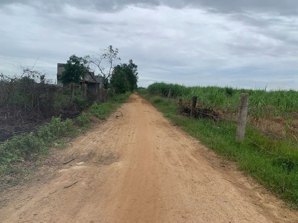 Đất thổ cư Hàm Liêm 150m² giá chỉ 460 triệu - Cơ hội đầu tư hấp dẫn!