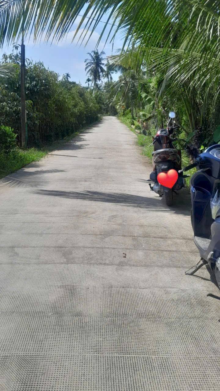 Đất thổ cư 300m² tại Vĩnh Hòa, Chợ Lách, 1463m² - Giá chỉ 1,9 tỷ!