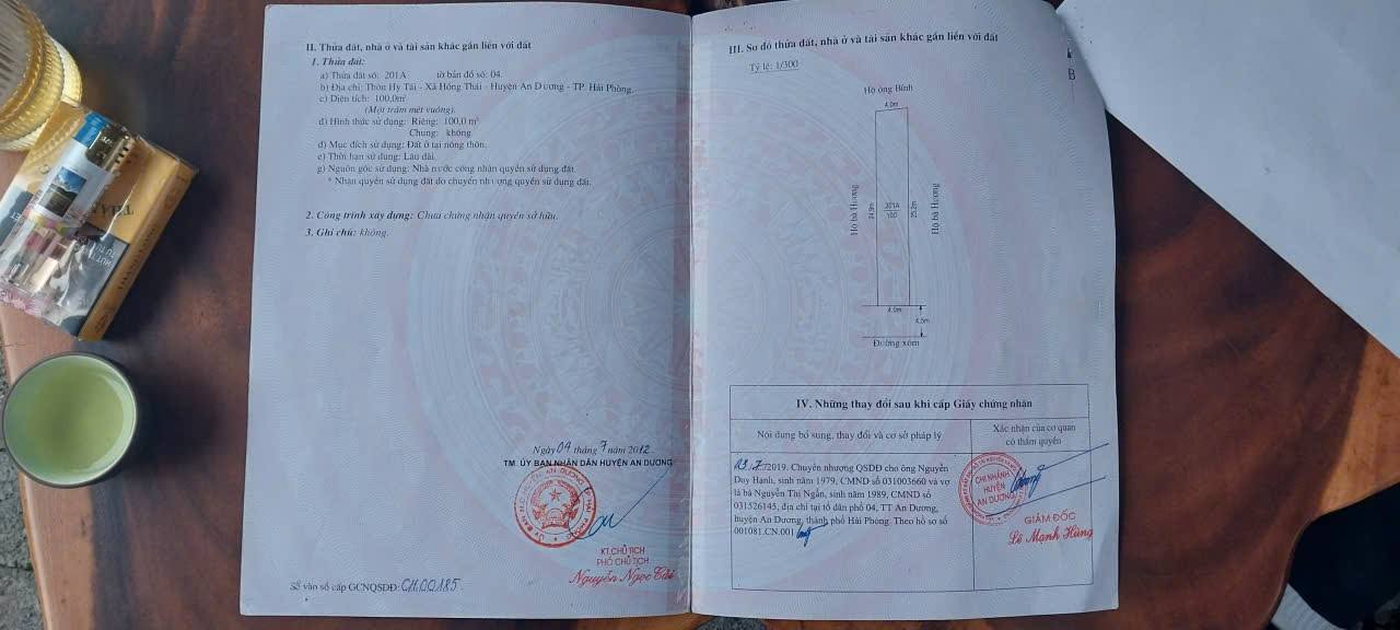 Đất nền Hồng Thái, An Dương 100m² giá 2.5 tỷ - Chính chủ bán gấp!