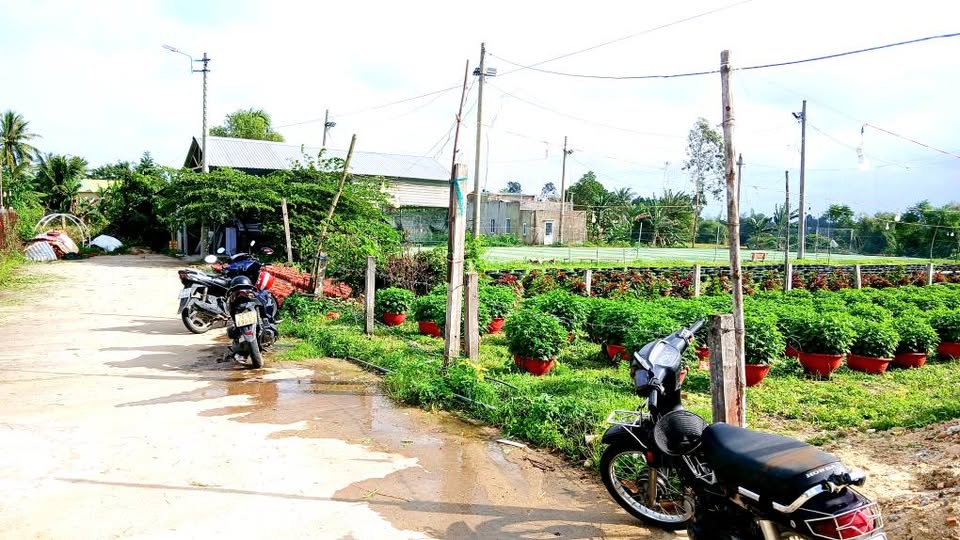 Đất ở An Phú Quảng Ngãi 125m² - Gần chợ, trường học, đầu tư sinh lời!