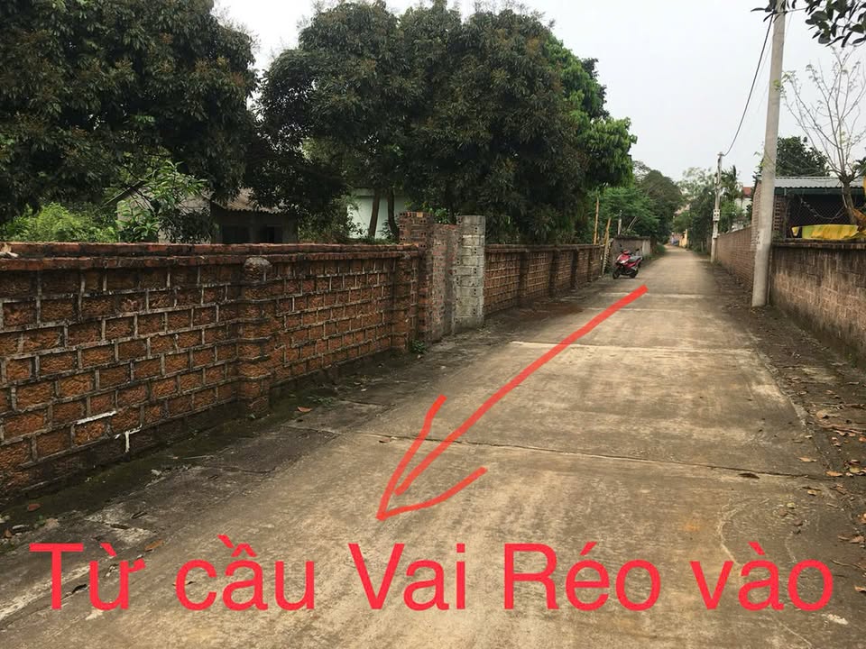 Đất nền view sông Phú Cát 1000m² giá chỉ 1x tỷ - Cơ hội đầu tư hiếm có!